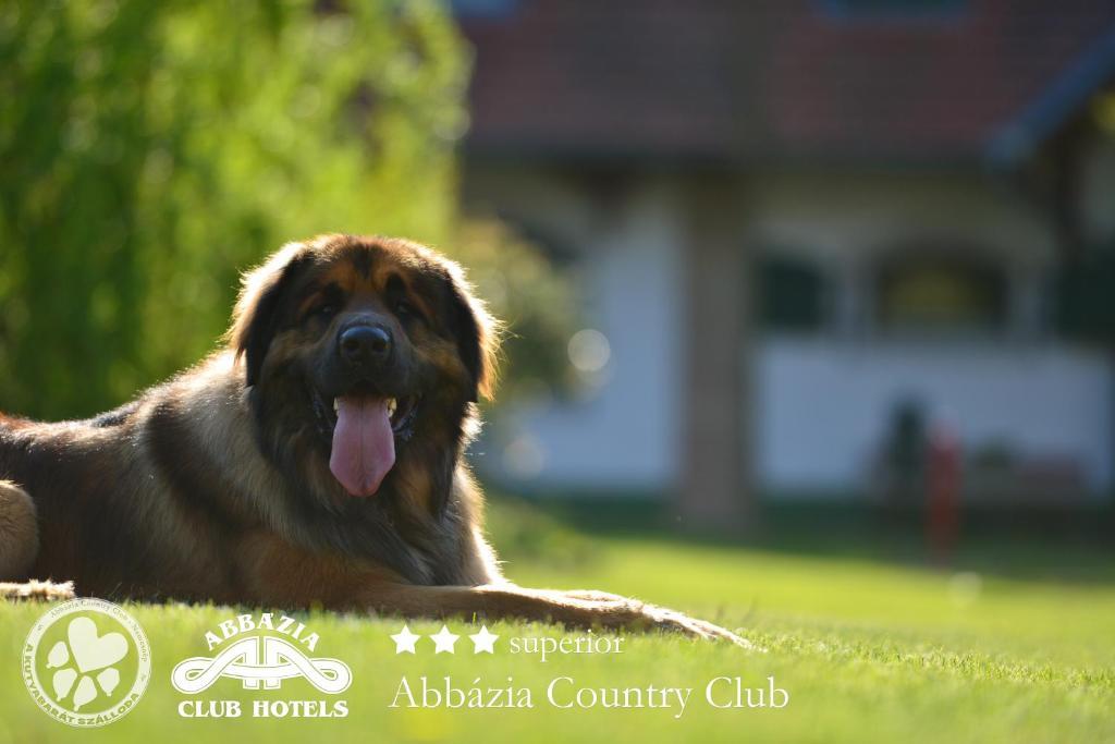 Abbazia Country Club Hotel Nemesnep Exterior photo